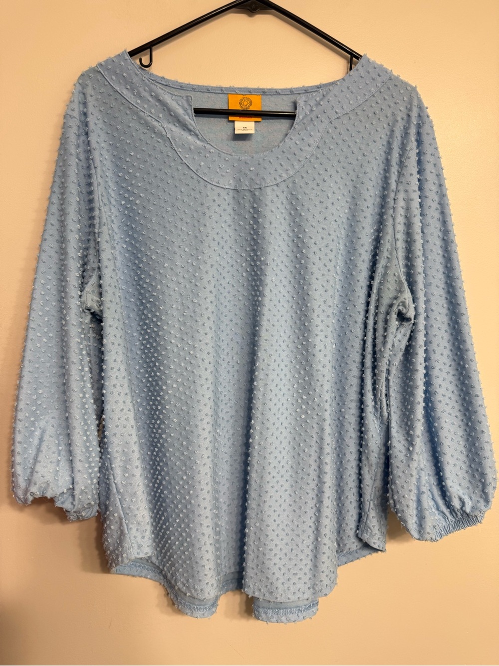 Ruby Rd. Swiss Dot Balloon-Sleeve Blouse